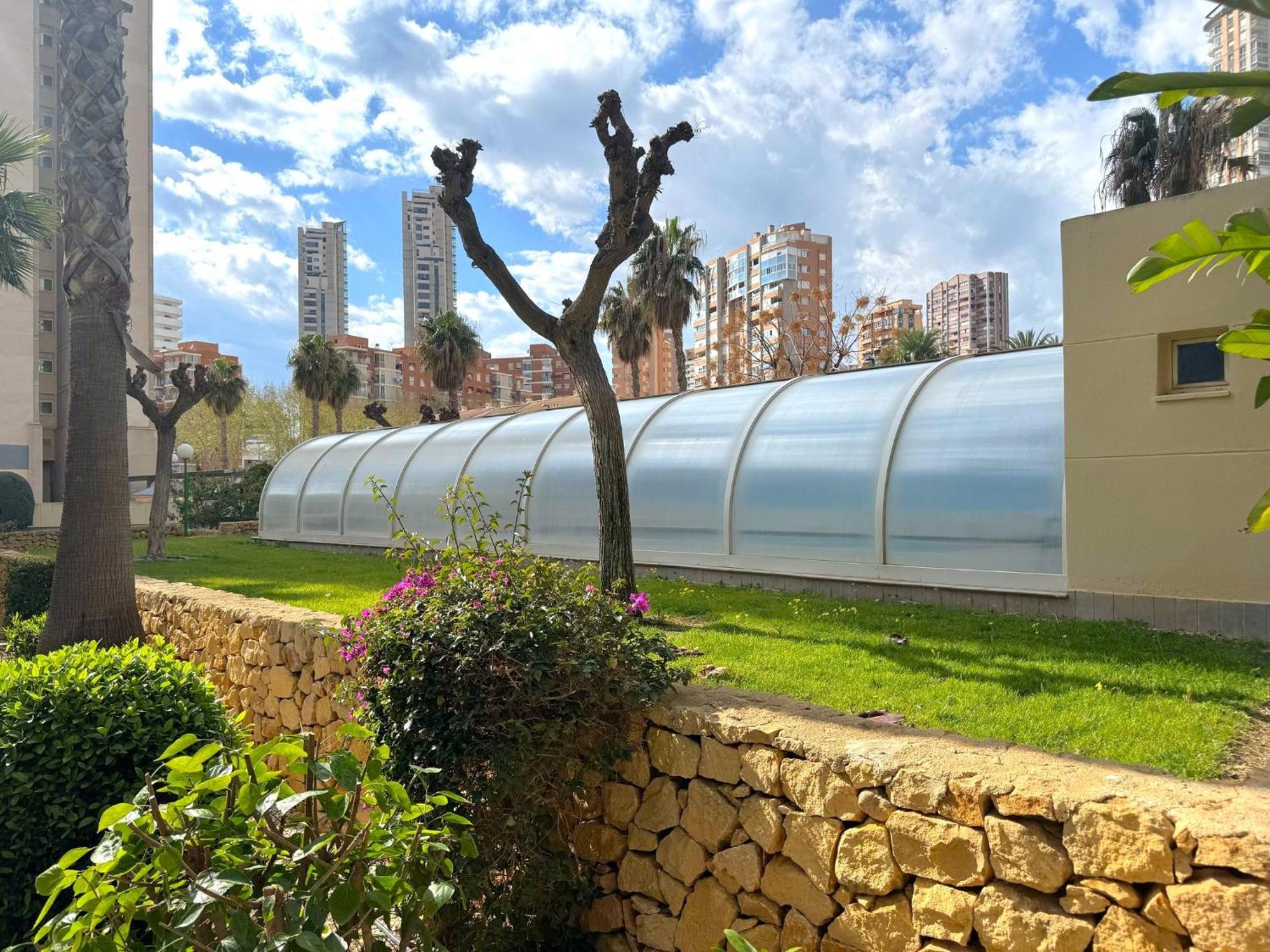 Gemelos 22-3-2 Benidorm